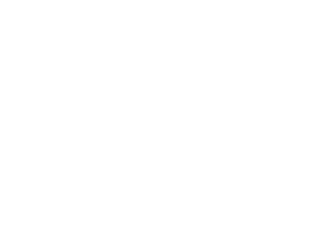 LOGO Blanc