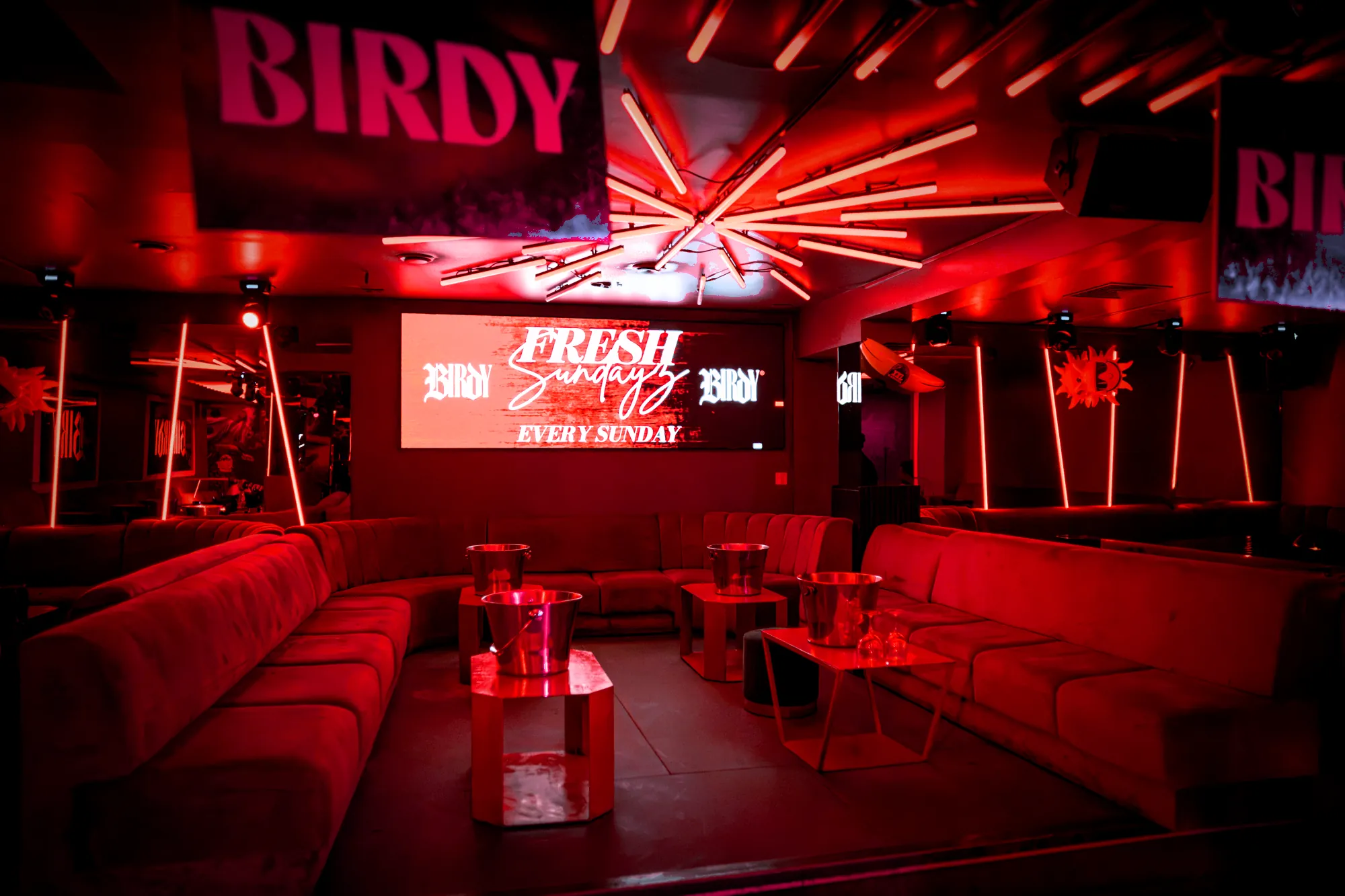 Lounge at Birdy under the BIRDY screen in red light