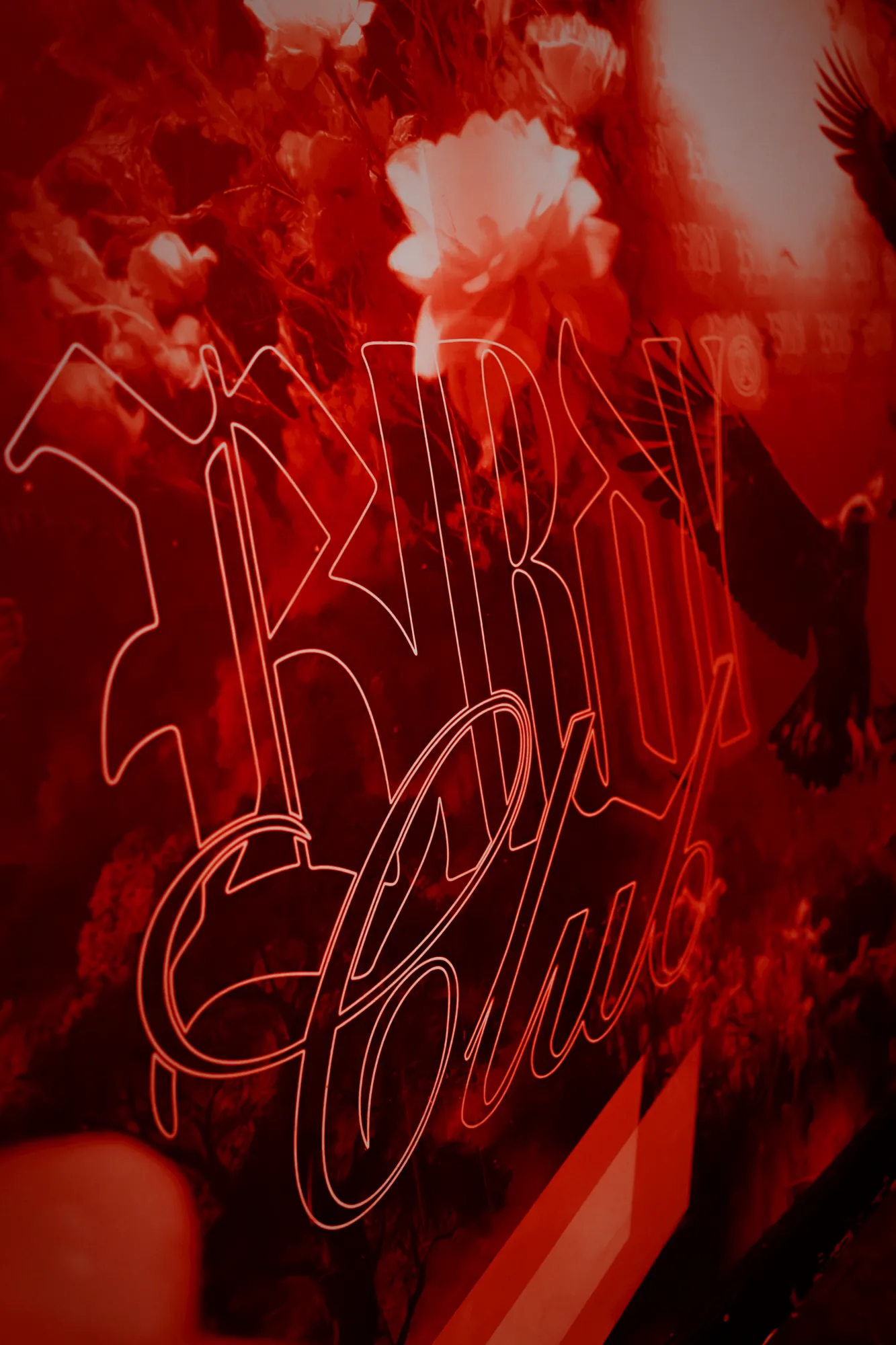 Birdy Club sign drawn on the mural in red light