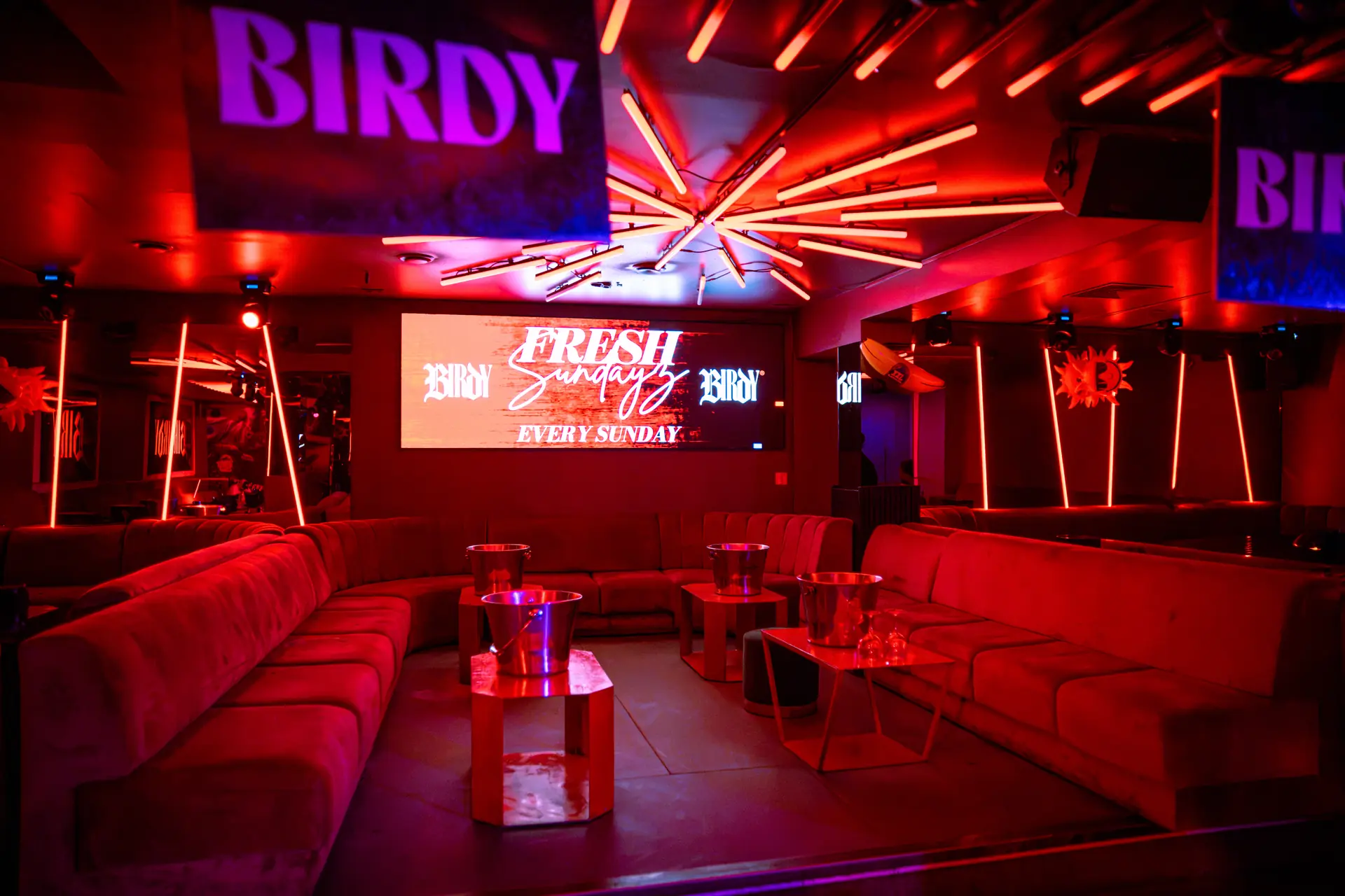 Birdy espace lounge ecran